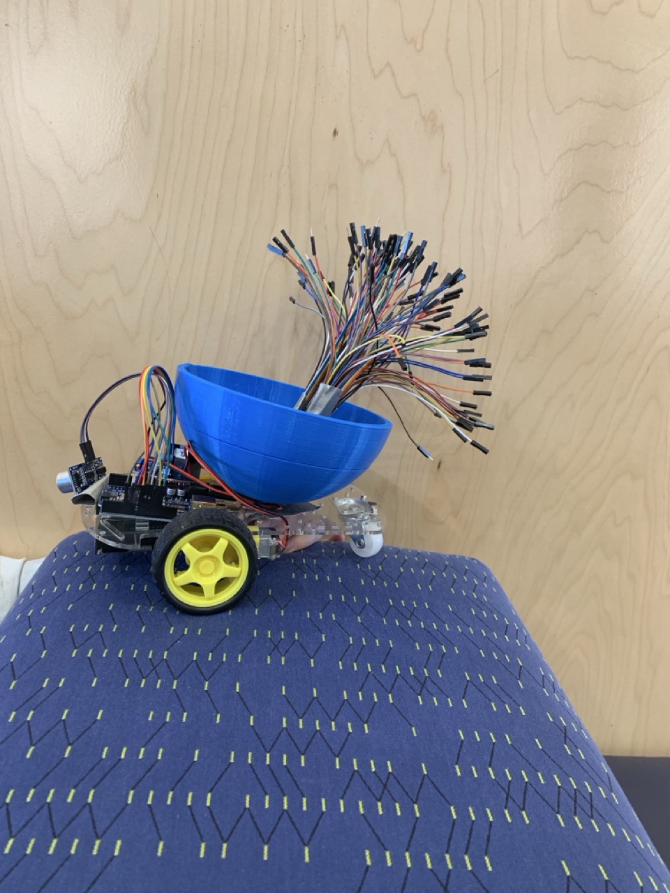 Botany Bots - Process 3